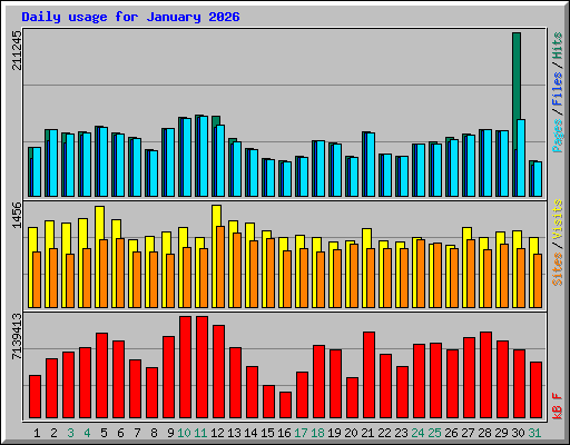 Daily usage for January 2026